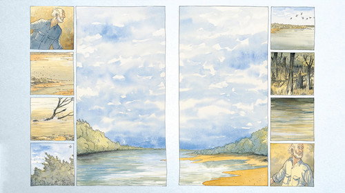 Backdrop