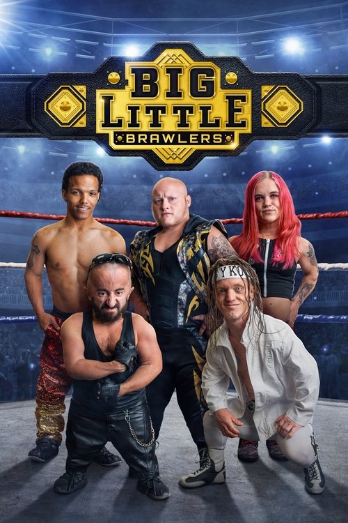 Poster of Big Little Brawlers
