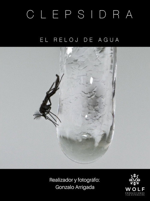 CLEPSIDRA