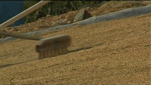 The Final Migration (2012) PHIM ĐẦY ĐỦ [VIETSUB]