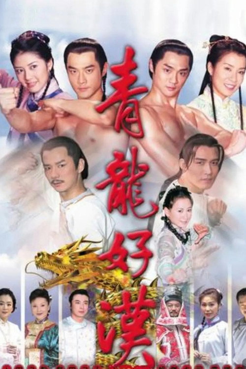 青龙好汉电影海报
