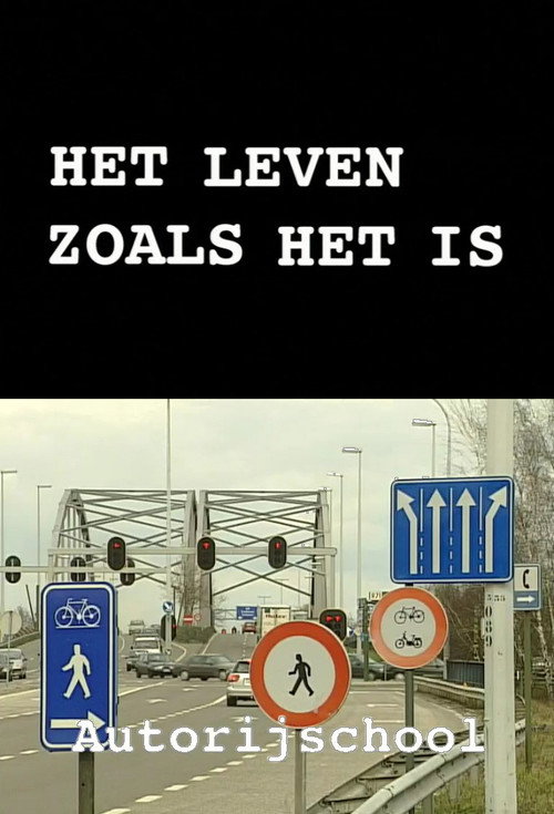 Het leven zoals het is: Autorijschool电影海报