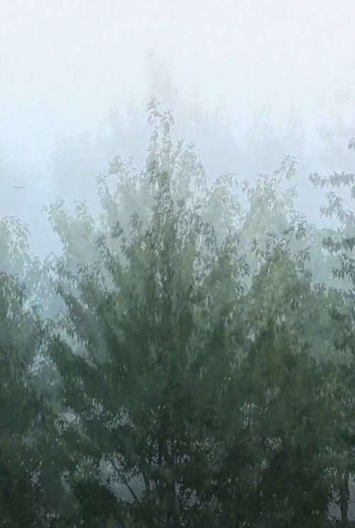 Wind