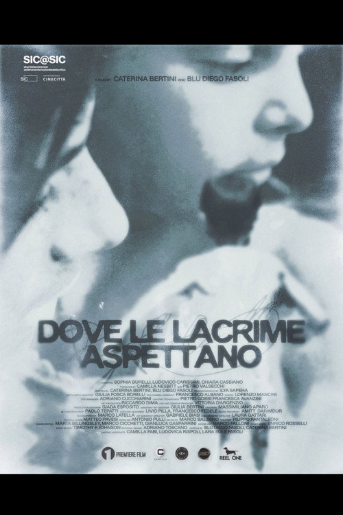 Dove le lacrime aspettano电影海报