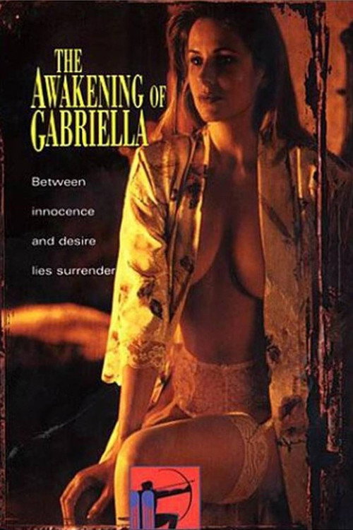 The Awakening of Gabriella poster 3