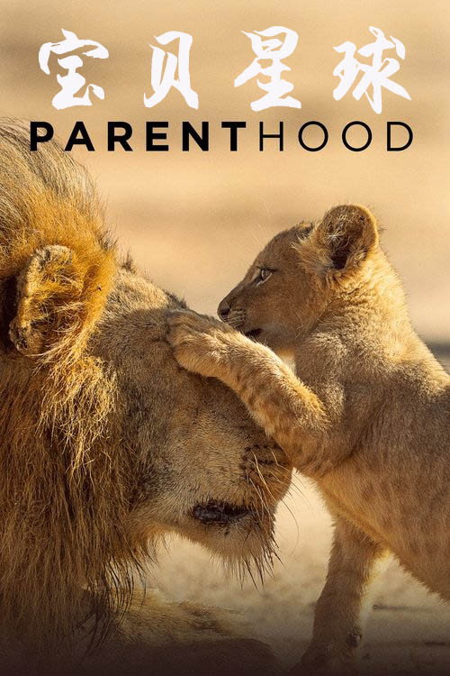 宝贝星球电影海报