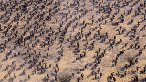 Gezegenimiz - Chapter 1: World on the Move