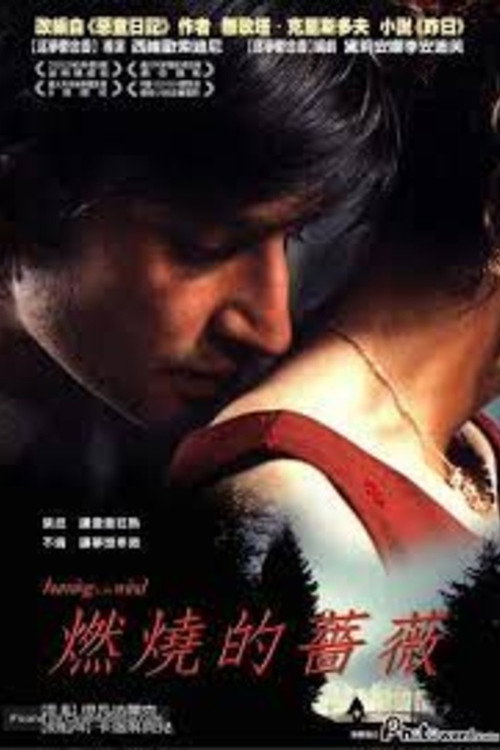 燃烧的蔷薇电影海报