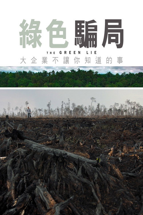 Die gr&uuml;ne L&uuml;ge电影海报