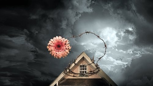 Petals on the Wind poster watch Petals on the Wind now