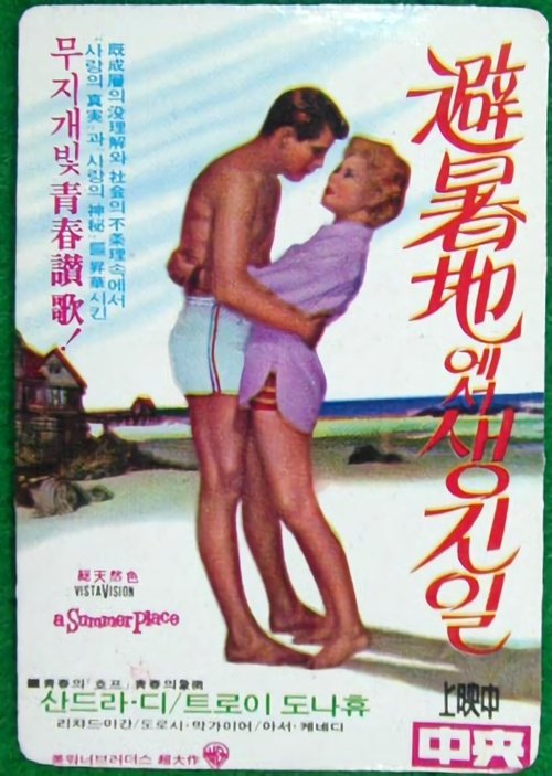 피서지에서 생긴 일(A Summer Place)