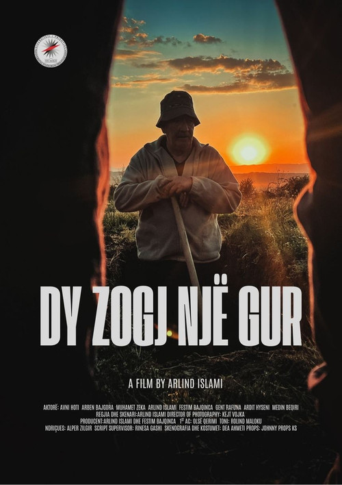 Dy zogj nj&euml; gur电影海报