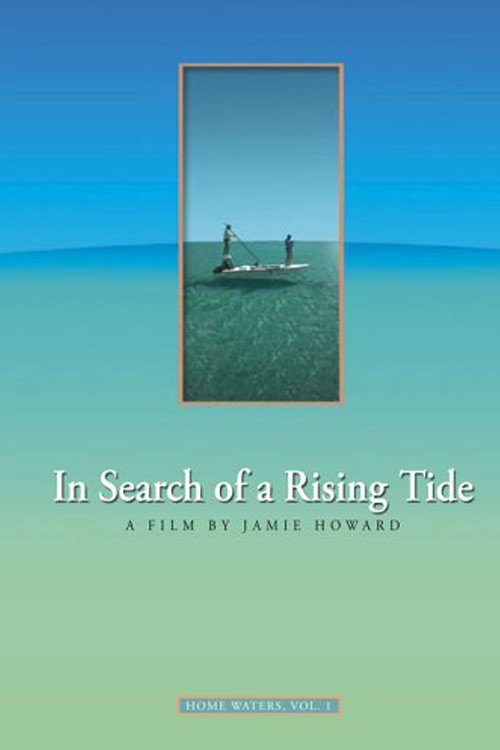 In Search of a Rising Tide海报
