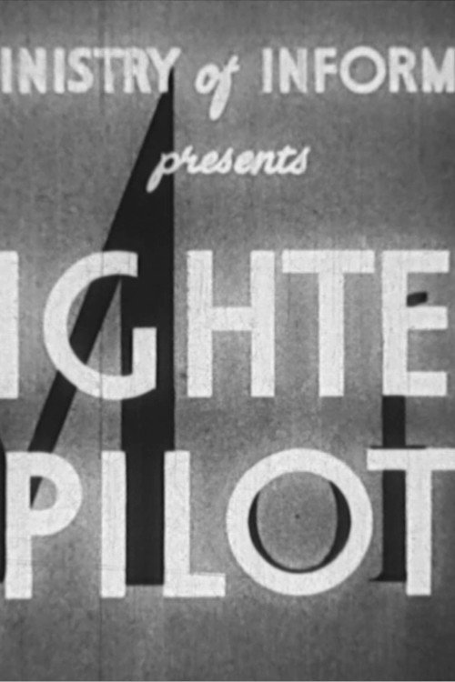 Fighter Pilot's poster