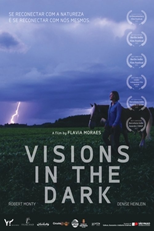 Visions in the Dark Poster
