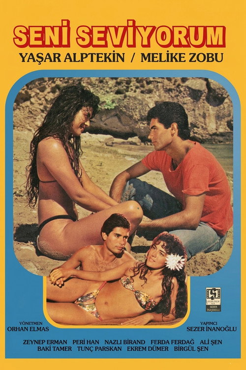 Seni Seviyorum poster 2