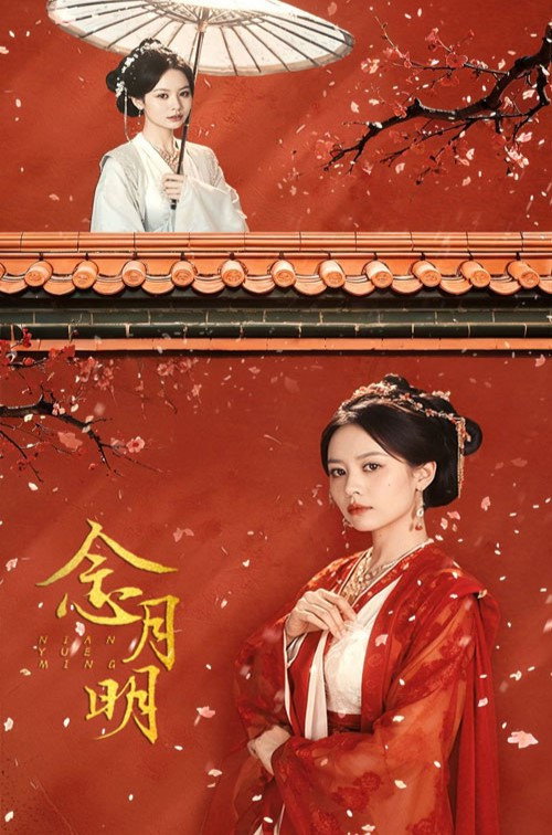念月明电影海报
