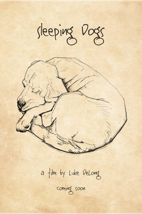 Sleeping Dogs's poster