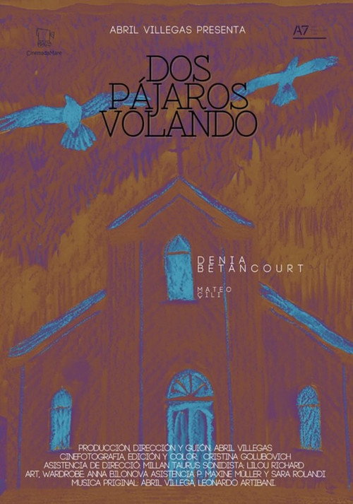 Dos pájaros volando's poster