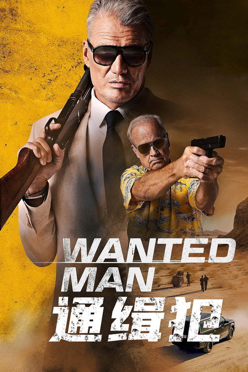 通缉犯电影海报