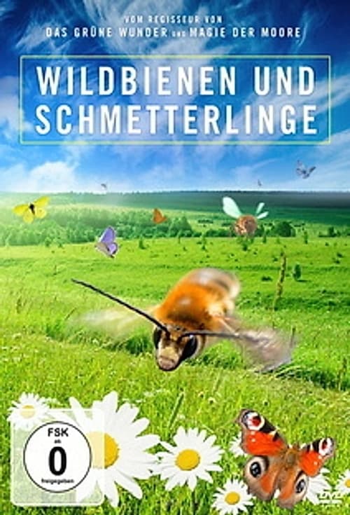 Kinder der Sonne - Unsere Schmetterlinge