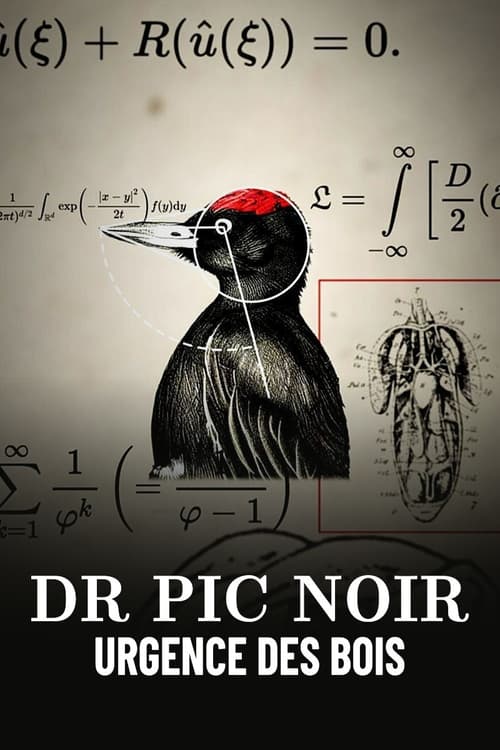 Dr+Pic+Noir%2C+urgence+des+bois