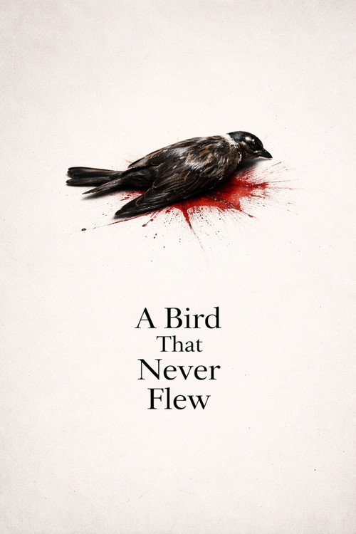 A Bird That Never Flew电影海报