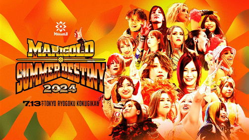 Marigold Summer Destiny 2024