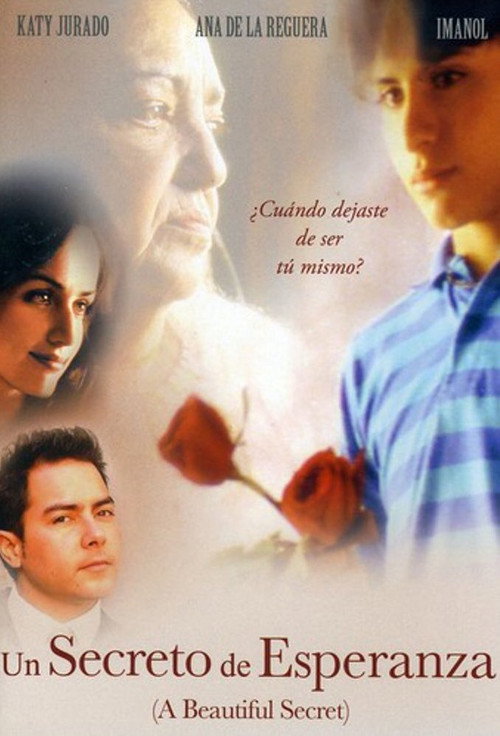 A Beautiful Secret poster 3