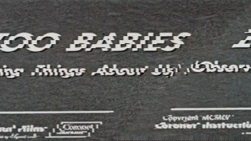Zoo Babies (Observing Things About Us)