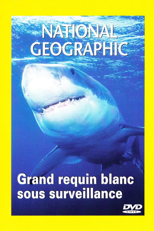 Great White Deep Trouble poster 3