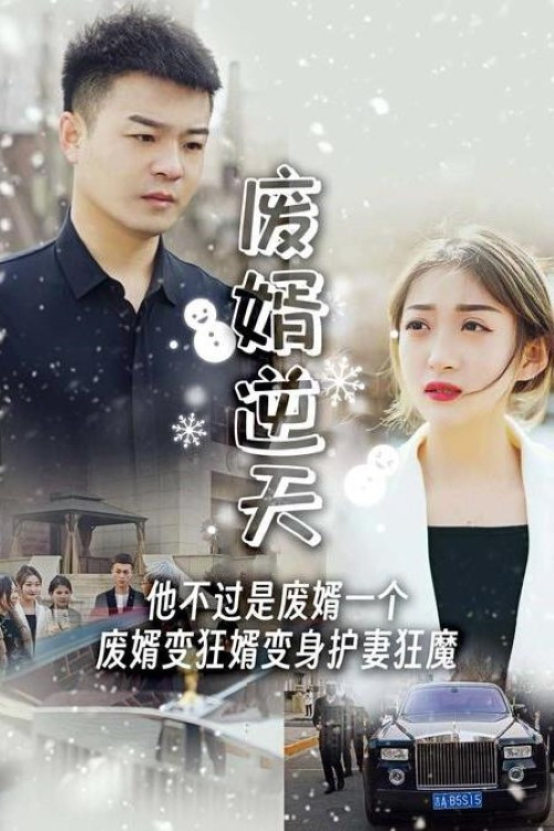 废婿逆天电影海报