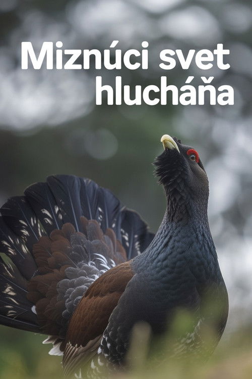 Disappearing World of the Capercaillie