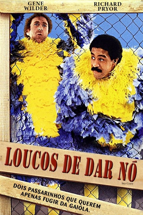 Assistir Loucos de Dar Nó (1980) filme completo dublado online em Portuguese