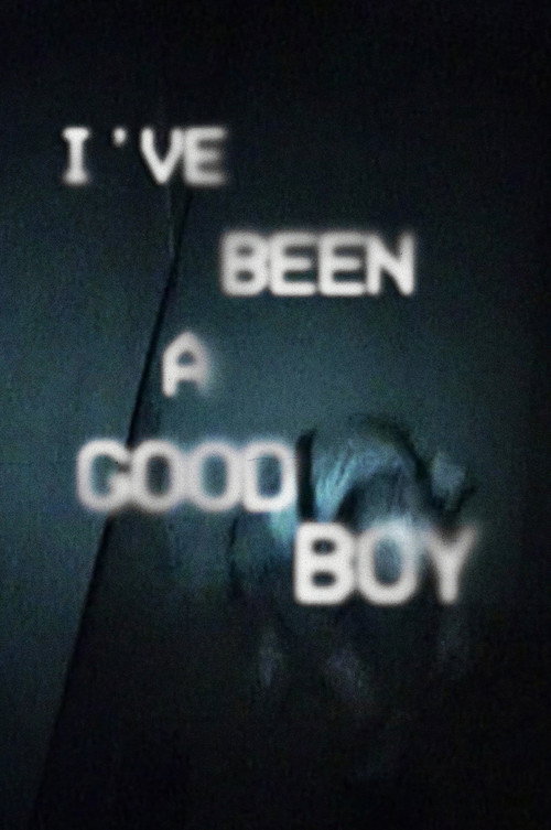 I've Been a Good Boy Poster