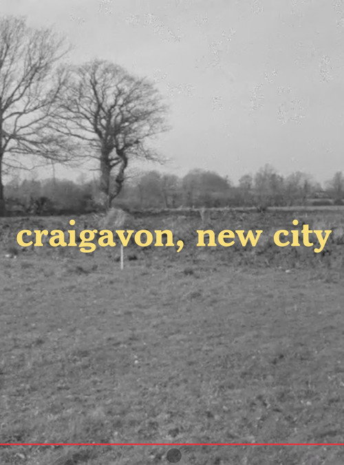 Craigavon, new city