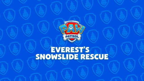 Everest's Snowslide Rescue