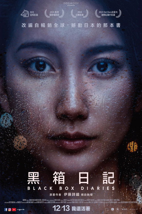 黑箱日记电影海报