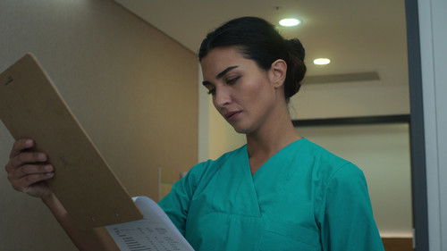 Zeytin Ağacı - 4. Bölüm