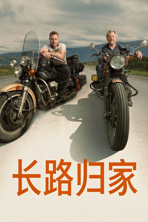 长路归家电影海报