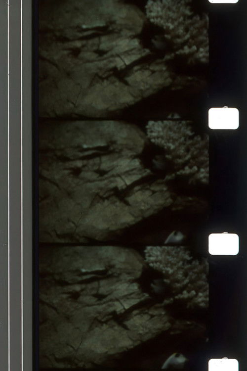 Whispers Delaying Grace