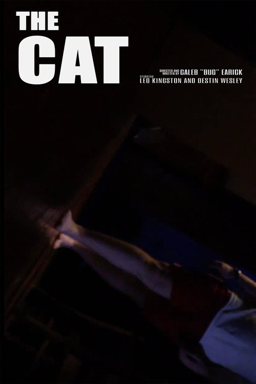 The Cat海报