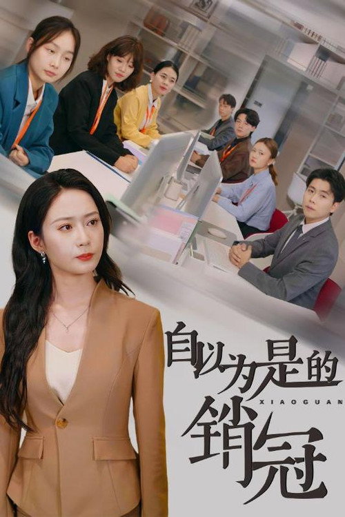 自以为是的销冠电影海报