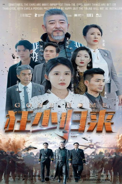 狂少归来电影海报