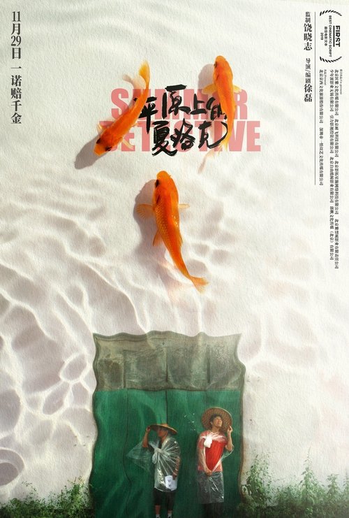 Summer Detective Poster