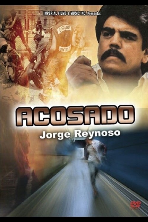 Acosado Poster