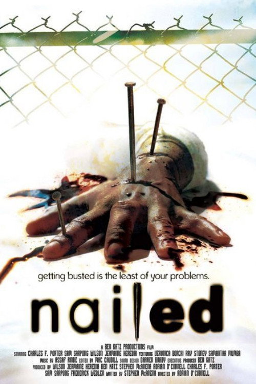 Nailed poster 3