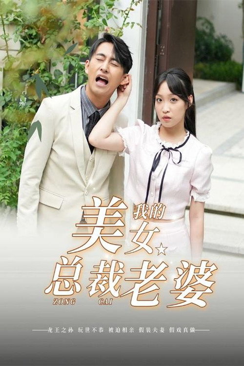 我的美女总裁老婆电影海报