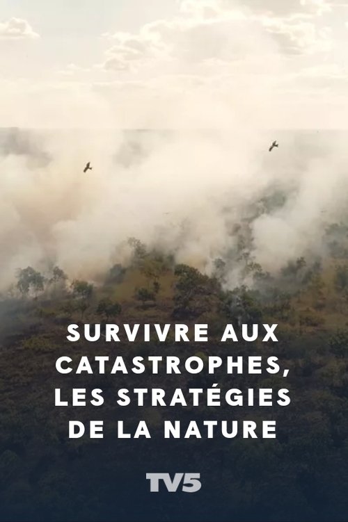 Survivre+aux+catastrophes%2C+les+strat%C3%A9gies+de+la+nature