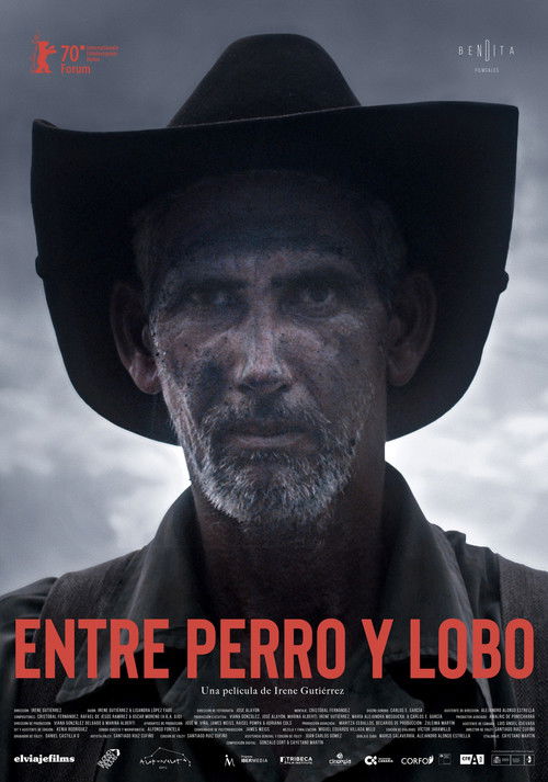Entre perro y lobo 2020 Entre perro y lobo 2020